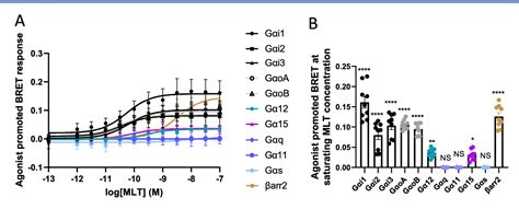 Figure From Identification Of Key Regions Mediating Human Melatonin