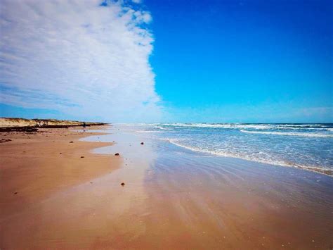 pros  cons   texas gulf coast drivin vibin