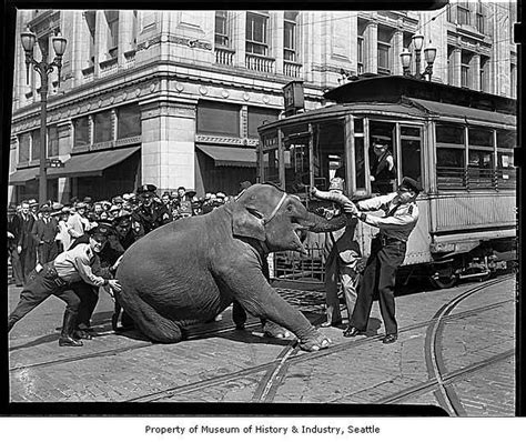 Looking back on Seattle's streetcar history