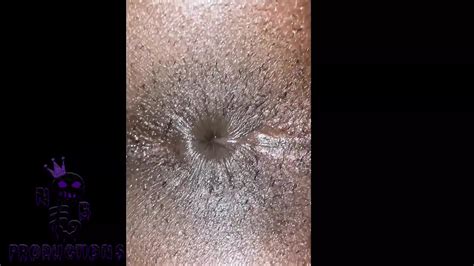 Free Bear Breeding Gay Porn Videos Xhamster