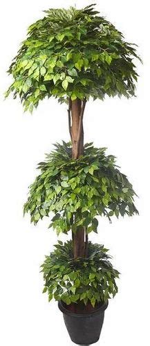 Artificial Ficus Triple Topiary Plant Dark Green 6 At Rs 9999 00