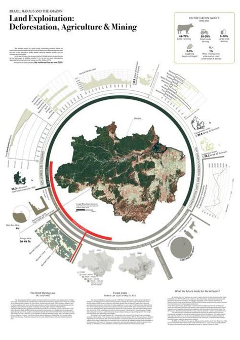 Land Exploitation In Brazilian Amazon Infographic By Gabriel Jero In