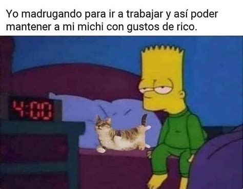 Yo Madrugando Para Ir A Trabajar Y As Poder Mantener A Mi Michi Con