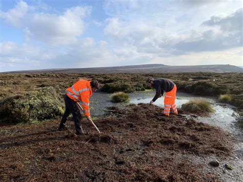 Moorland Conservation and Restoration | Wildscapes