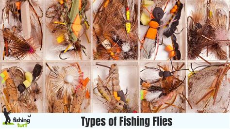 Types of Fishing Flies: Begginer's Guide