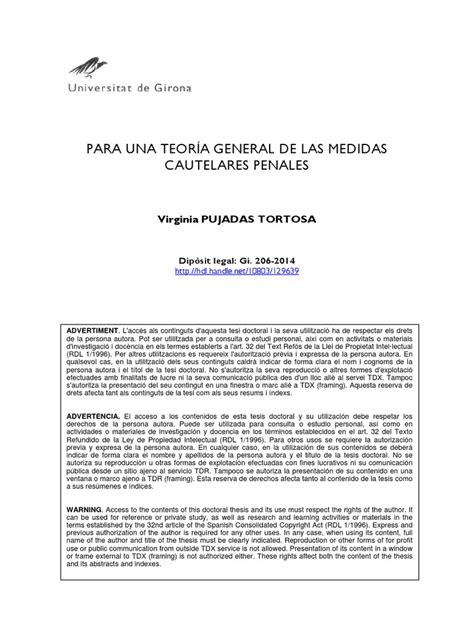 PDF LIBRO PARA UNA TEORIA GENERAL DE LAS MEDIDAS CAUTELARES PENALES