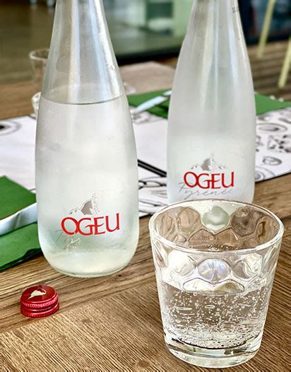 Ogeu Intense eau minérale naturelle pétillante Ogeu