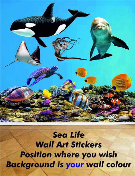 Sea Life Wall Art in Full Colour, a great feature wall art – Wall Art Shop