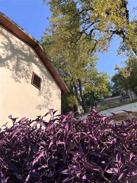 Montenegro Vacation Rentals | Airbnb