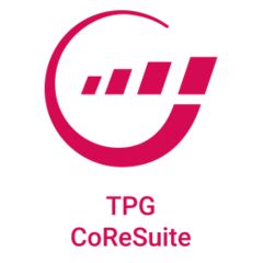 Portfoliomanagement Software für Projekte TPG The Project Group