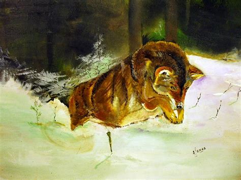 Coyote in the snow Painting by Amalia Jonas - Fine Art America