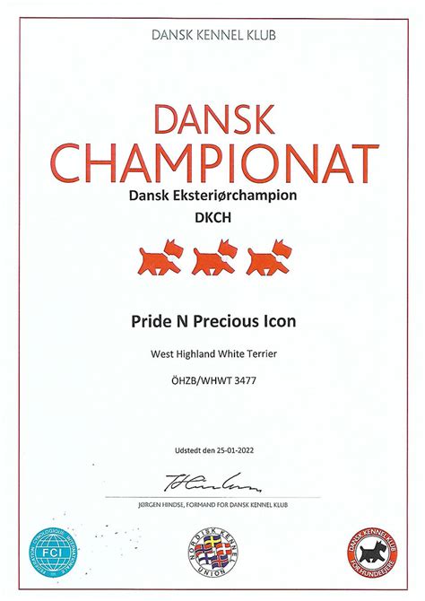 Champion Dänemark