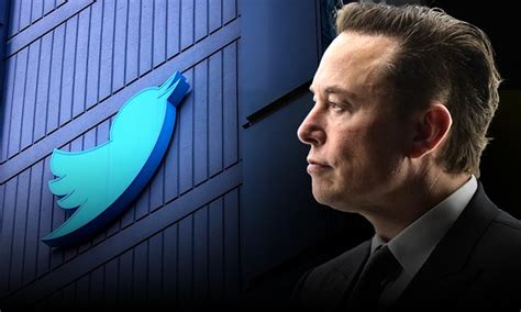 Internet Bilion Rio Elon Musk Compra O Twitter E Inicia Combate