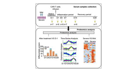 Longitudinal Serum Proteomics Characterization Of Cd Car T Cell