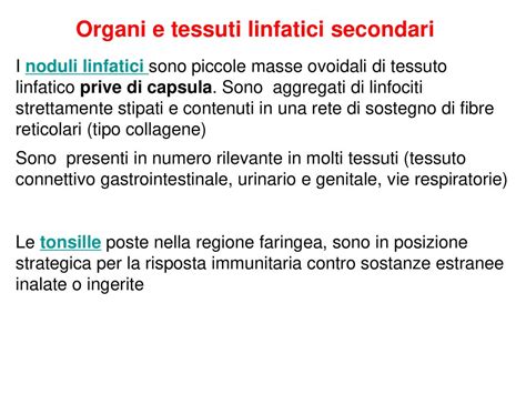 Il Sistema Linfatico E Immunitario Ppt Scaricare