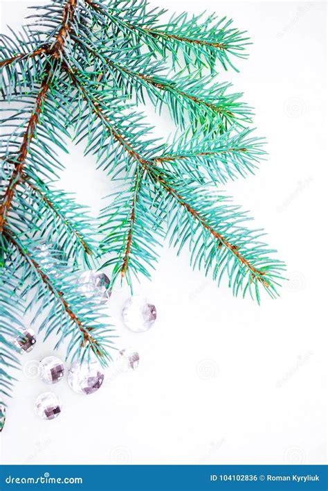 Blue Spruce Branch With Crystals For Decoration Stock Photo Image Of