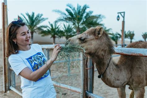 Dubai Overnight Safari Dinner Stargazing And Al Khayma Camp Getyourguide