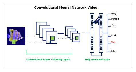 Convolutional Neural Network Video Edrawmax Templates