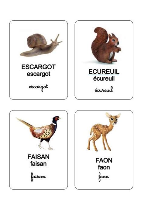 Les Animaux De La For T Imagier Animaux Animaux Animaux Foret