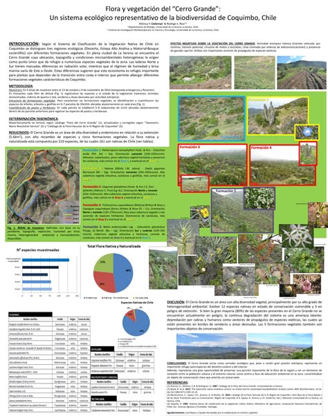 PDF Flora y vegetación del Cerro Grande Un sistema ecológico