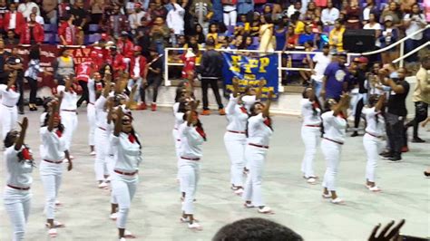 Delta Sigma Theta Pvamu Spring 16 Eta Beta Youtube