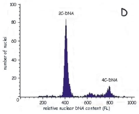 Flow Cytometric DNA Histograms Of A Male A And A Female Head C And