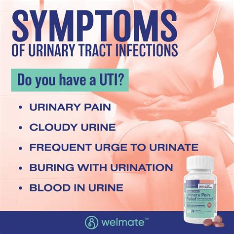 Welmate Urinary Pain Relief Tablets Fast Acting Uti Relief With