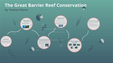 Great Barrier Reef Conservation by Tasman Glover on Prezi