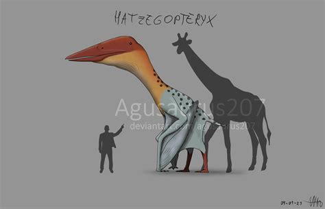 Hatzegopteryx By Agusaurus207 On Deviantart