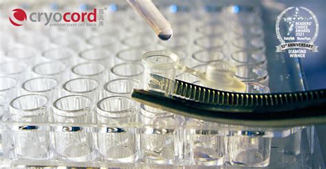 cryocord incontestable competence  stem cell handling  storing