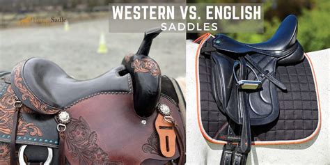 Western Vs English Saddles Pros And Cons Horse Saddle Shop