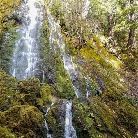 20 Best Oregon Waterfall Hikes - Hike Oregon | Oregon waterfalls ...