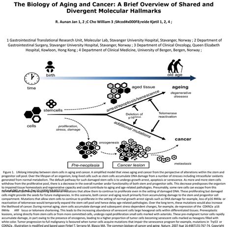 The Biology Of Aging And Cancer A Brief Overview Of Shared And