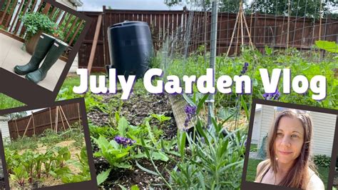 Garden Vlog July Vegetable Garden Tour Zone Canada Youtube