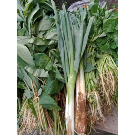 Jual Daun Bawang Dan Seledri Shopee Indonesia