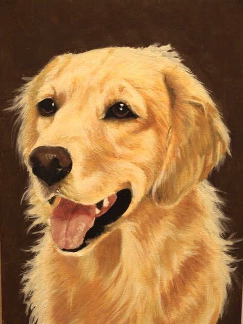 Pin By Ruth Josephson On A Lma Golden Retrievers Golden Retriever