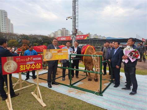 경산시 축산농가 2023년 경북 한우경진대회 최우수·우수상 수상 대구일보