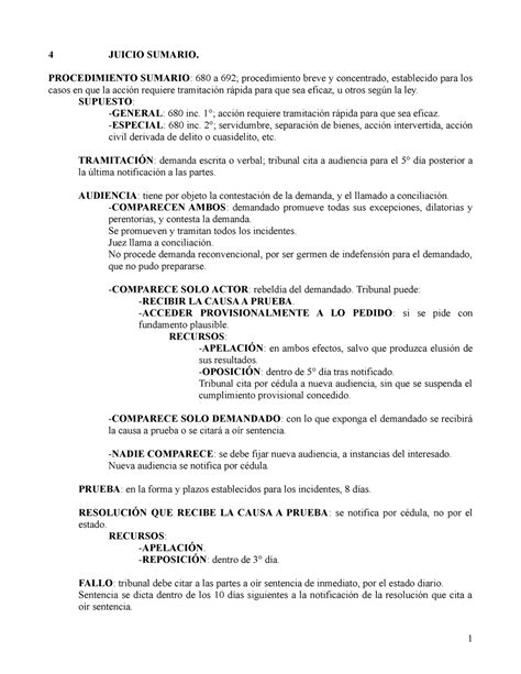 Esquema Procesal Del Juicio Sumario 4 Juicio Sumario Procedimiento