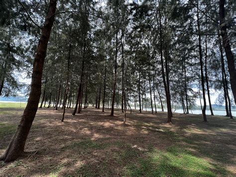 Hezeri Samsuri On Twitter Pantai Mawar Mersing Kena Bayar RM5 Satu