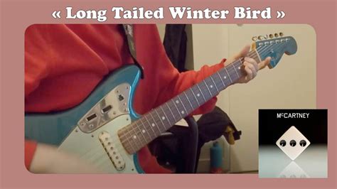 Paul Mccartney Long Tailed Winter Bird From Mccartney Iii Cover