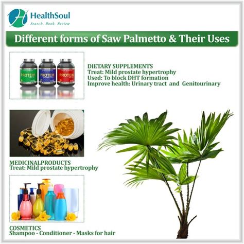 Saw Palmetto Benefits – Healthsoul