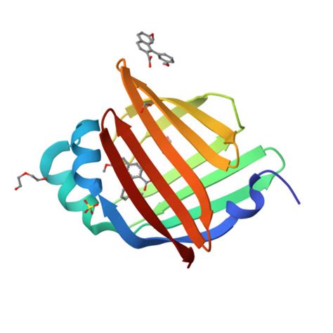 RCSB PDB 7G02 Crystal Structure Of Human FABP4 In Complex With 7