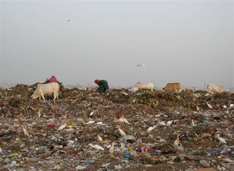 13 Alarming Photos Of Landfills You Cant Unsee Landfill Trash