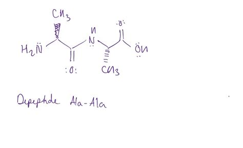 SOLVED: The structure of alanine is shown below. Draw the structure of ...