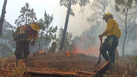 Nueve Incendios Forestales Son Atendidos En Morelos Arturo Ortiz