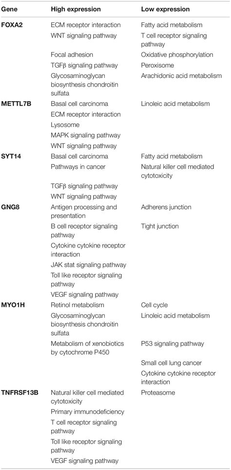 Frontiers Establishment And Validation Of A Comprehensive Prognostic