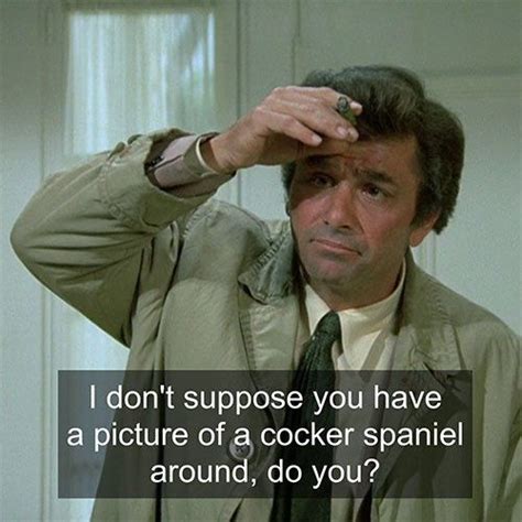 6 reasons why ''Negative Reaction'' is the most delightful Columbo episode | Columbo, Columbo ...