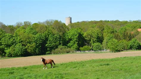 Strau Berg Strau Berg Ist Ein Ortsteil Der Kreisstadt Sond Flickr