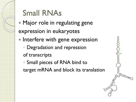 phytophthora small rna  visualization  small rnas