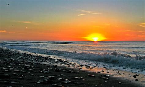 Playas Amplias Y Bosques Encantados Por Qué Pehuen Co Puede Ser El